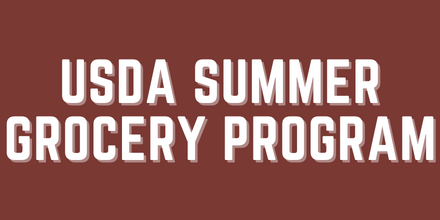 usda summer grocery program